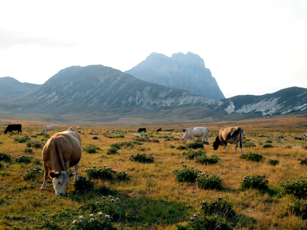 Altopiano di Campo Imperatore in estate