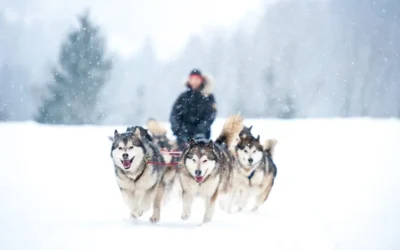 Cosa fare in inverno con i bambini durante il tuo soggiorno in Baita