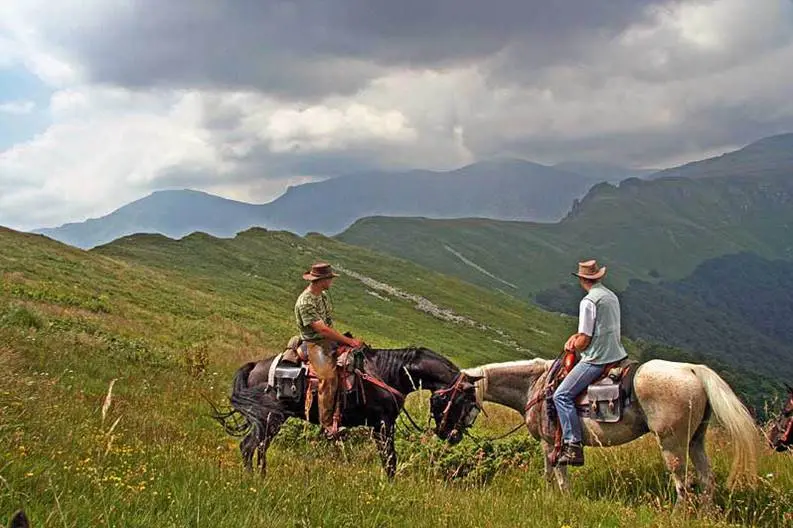 Passeggiate a cavallo