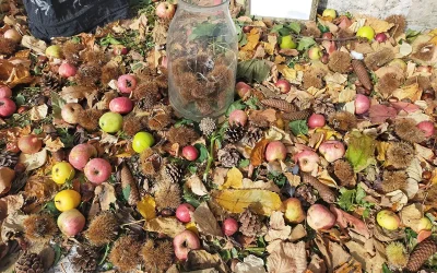 Sagre d'autunno vicino alla Baita: gli appuntamenti tra Cicolano e Marsica